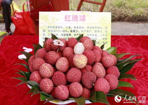 甜蜜盛夏 港北区武乐镇首届荔枝节暨特色农产品展销会盛大开幕